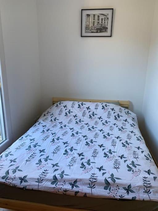 Maison 6 Places, En Plein Coeur De L'Ariege, Proche Ski Et Nature Lesparrou 외부 사진